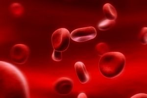 تأثیرات ورزش رزمی و ورزش های دیگر بر دستگاه گردش خون 