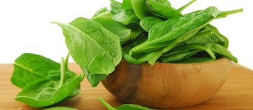 اسفناج و فواید آن برای ورزشکاران رزمی