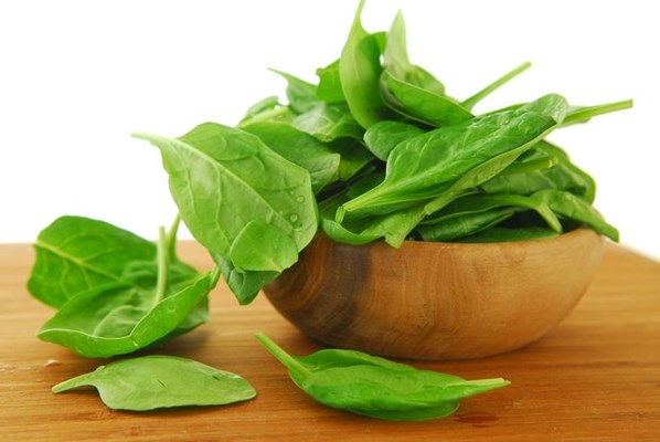 اسفناج و فواید آن برای ورزشکاران رزمی