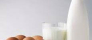 توصیه های مهم در رابطه با تغذیه صحیح قبل از ورزش رزمی