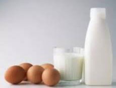 توصیه های مهم در رابطه با تغذیه صحیح قبل از ورزش رزمی