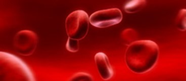 مکمل های غذایی طبیعی ورزشکاران چگونگی فعال کردن سیستم ایمنی بدن ورزشکاران