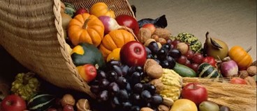 آداب غذایی و مراقبت از بدن برای ورزشکاران رزمی