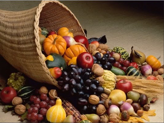 آداب غذایی و مراقبت از بدن برای ورزشکاران رزمی