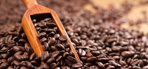 کافئین چگونه بر ورزش اثر می‌گذارد به خصوص در رزمی