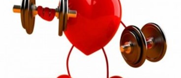 کاهش بیماریهای قلبی و عروقی در ورزشکاران رزمی با فعالیت فیزیكی مناسب  ورزشی 