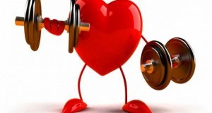 کاهش بیماریهای قلبی و عروقی در ورزشکاران رزمی با فعالیت فیزیكی مناسب  ورزشی 