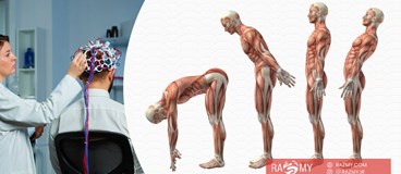 تمرینات ورزشی و بهبود هماهنگی عصب و عضله