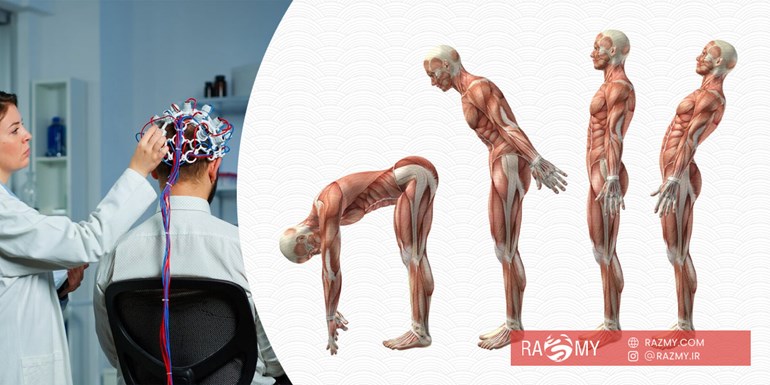 تمرینات ورزشی و بهبود هماهنگی عصب و عضله