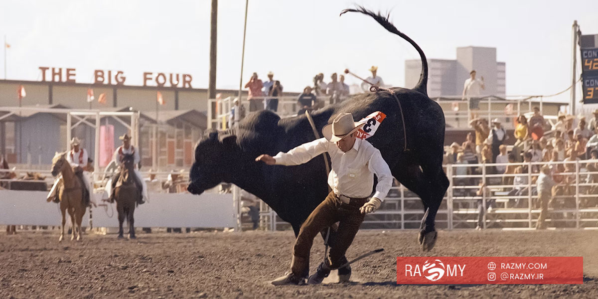 گاوبازی گاوبازی