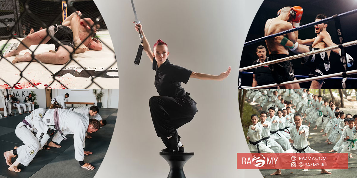 سبکهای محبوب ورزش رزمی سبکهای محبوب ورزش رزمی